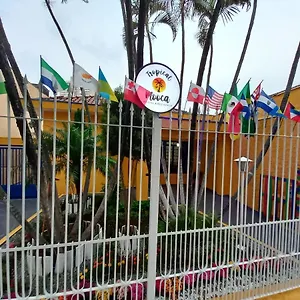  Albergue Tropical Mooca